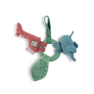 Anneau d'activités Moulin Roty Sous mon Baobab