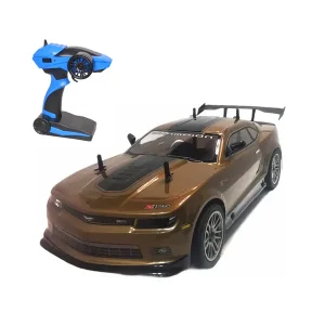 Voiture Champion R/C 1:10