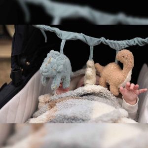 Chaîne d’activités – Dino